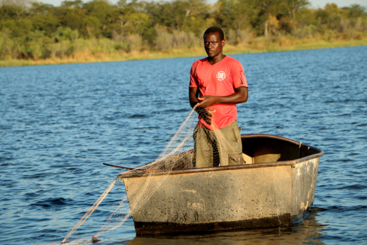 ToR - Impressions Zimbabwe