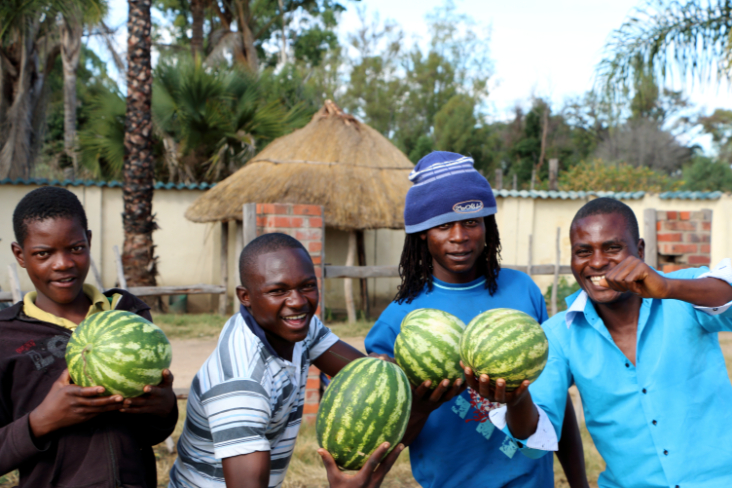 ToR - Impressions Zimbabwe