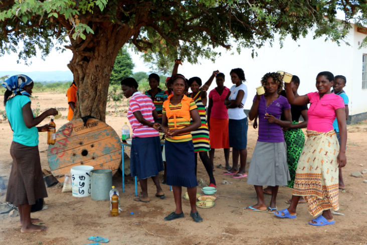 ToR - Workshop Siachilaba - ZIM 14