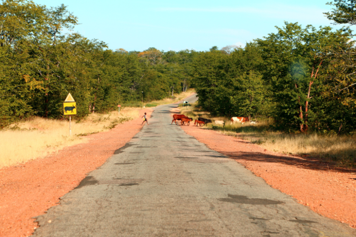 ToR - Impressions Zimbabwe