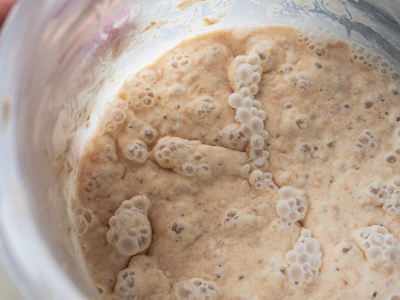 Sourdough Starter