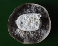 Slide 14