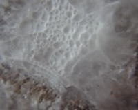 Slide 16