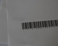 Slide 8