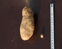 Slide 137